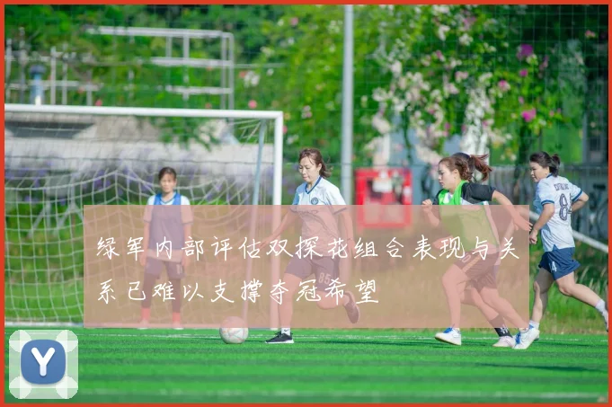 绿军内部评估双探花组合表现与关系已难以支撑夺冠希望