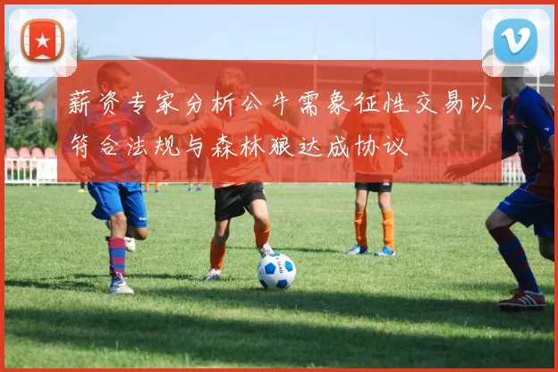 薪资专家分析公牛需象征性交易以符合法规与森林狼达成协议
